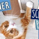 Haku gets a new scratch board | Cat Scratch Pad DIY