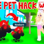 How To Get 2 Out Of 1 PET!? *Pregnancy Hack* In Adopt Me! (Roblox)