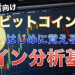 【初心者向け】これだけは覚えよう！ビットコインFXラインの引き方（基礎編②）