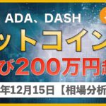 【BTC、EOS、ADA、DASH】ビットコインは再び200万円へ！先週紹介したチャンスのあるコイン3つはどうなった？結果発表！【12月15日 相場解説】