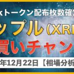 【BTC、XRP、ETH】米大手企業660億円相当のビットコインを追加購入！リップルは買いポイントなのか⁉︎【12月22日 相場解説】