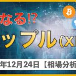 【BTC、XRP、ETH、XEM】リップル週率50%下げ！これからどうなる？【12月24日 相場解説】