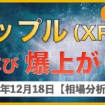 【BTC、XRP、XEM】ビットコイン史上最高値2万ドル更新！！リップル爆上げ！どこまで？【12月18日 相場解説】