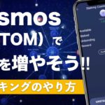 【初心者でも自分でできる】COSMOS(ATOM)を増やす！簡単ステーキングのやり方を解説
