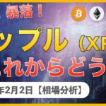 【BTC、ETH、MONA、XRP】リップル暴騰からの暴落！これからどうなる？【2月2日 相場解説】