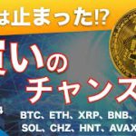 【ADA、FIL、SOL、CHZ、HNT、AVAX、ALPHA】下落は止まった⁉︎ ついに買いのチャンス到来！（2021年5月24日 相場分析）後半