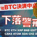 【BTC、ETH、XRP、BNB、IOST】テスラ社ビットコイン決済中止！大幅下落の今後の仮想通貨市場は（2021年5月14日 相場分析）前半