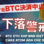 【CAKE、ATOM、ADA、CHZ、DOT、QTUM】テスラ社ビットコイン決済中止！大幅下落の今後の仮想通貨市場は（2021年5月14日 相場分析）後半