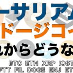 【FTT、FIL、DOGE、ENJ、ETC、MONA】イーサリアム、ドージコインこれからどうなる？（2021年5月7日相場分析）後半