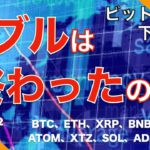 【IOST、ATOM、XTZ、SOL、ADA、DOT】ビットコイン下落継続！バブルは終わったのか？（2021年5月22日 相場分析）後半