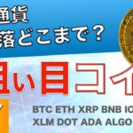 【XLM、DOT、ADA、ALGO、SOL、CHZ】仮想通貨下落はどこまで？今狙っているコインはこれ！（2021年5月17日 相場分析）後半