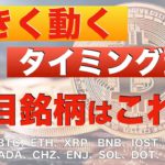 【BTC、ETH、XRP、BNB、IOST】大きく動くタイミング到来！注目銘柄はこれだ！（2021年6月3日 相場分析）前半