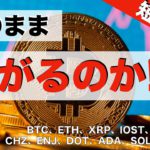 【BTC、ETH、XRP、IOST、BNB】短期上昇、このまま上がるのか！？ー好機は待ちの相場にありー（2021年6月16日 相場分析）前半