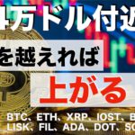 【IOST、BNB、FIL、LISK、ADA、DOT、SOL、DOGE】「4万ドル付近」　ここを越えれば上がる！？（2021年6月9日 相場分析）後半