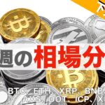 【BTC、ETH、XRP、BNB、IOST】まだまだ下落警戒中。今週の相場分析（2021年7月17日 相場分析）前半