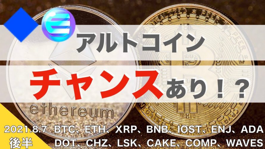 【ADA、DOT、CHZ、LSK、CAKE、COMP、WAVES】アルトコイン、チャンスあり!?(2021年8月7日 相場分析)後半