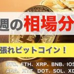 【BTC、ETH、XRP、BNB】今週の相場分析（2021年8月28日 相場分析）