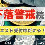 【DOT、SOL、FIL、AVAX、VGX】下落警戒続く（2021年8月20日 相場分析）後半