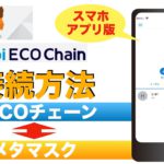 【初心者向け】メタマスクとヘコ（HECO）チェーンの接続方法を解説！（2021年8月版）