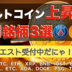 【BTC、ETH、XRP、BNB、IOST、ENJ、SAND、SOL】アルトコイン上昇中。チャンスあり！？（2021年9月4日 相場分析）前半