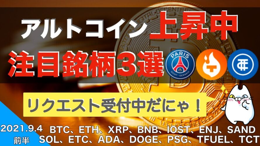 【BTC、ETH、XRP、BNB、IOST、ENJ、SAND、SOL】アルトコイン上昇中。チャンスあり!?(2021年9月4日 相場分析)前半