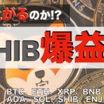 【ETH、XRP、BNB、IOST、ADA、SOL、SHIB、ENJ】まだ上がるのか！？SHIB爆益！！（2021年10月30日 相場分析）後半