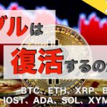 【BNB、IOST、ADA、SOL、XYM、MDX】下落警戒、バブル復活するのか！？（2021年11月27日 相場分析）後半
