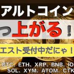 【BTC、ETH、XRP、BNB】アルトコインいつ上がる！？（2021年11月13日 相場分析）前半