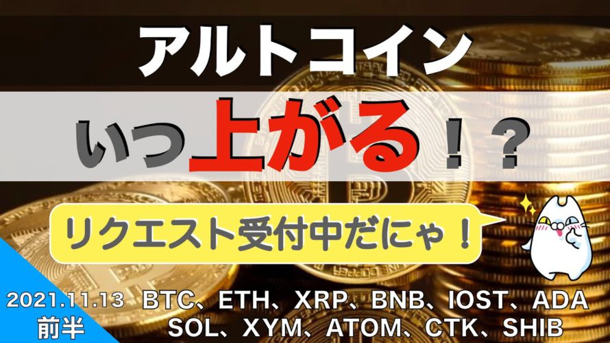 【BTC、ETH、XRP、BNB】アルトコインいつ上がる!?(2021年11月13日 相場分析)前半