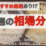 【SHIB、DOT、AVAX、ENJ、SAND、CTK、SLP】今週の相場分析〜おすすめの銘柄あり！？〜（2021年11月6日 相場分析）後半