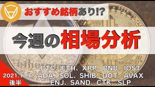 【SHIB、DOT、AVAX、ENJ、SAND、CTK、SLP】今週の相場分析〜おすすめの銘柄あり!?〜(2021年11月6日 相場分析)後半