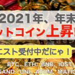 【SOL、SAND、UNI、ATOM、MATIC、LUNA】2021年、年末ビットコイン上昇！！！（2021年12月25日 相場分析）