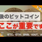 【BTC 、ETH、BNB、IOST、ADA】今後のビットコイン、ここが重要です！（2022年1月29日 相場分析）