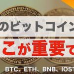 【BTC 、ETH、BNB、IOST、ADA】今後のビットコイン、ここが重要です！（2022年1月29日 相場分析）