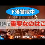【BTC、ETH、SOL、IOST】下落警戒中、下落時に重要なのはこれ（2022年2月26日 相場分析）