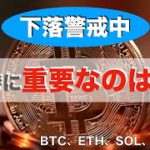 【BTC、ETH、SOL、IOST】下落警戒中、下落時に重要なのはこれ（2022年2月26日 相場分析）
