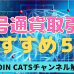 暗号資産（仮想通貨）国内取引所 おすすめ5選！【 COIN CATSチャンネル】が解説切り抜き