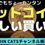 ビットコインの賢い（正しい）買い方、始め方。【COIN CATSチャンネル】が解説＜効率的に利益を得る2つの方法＞ $BTC　初心者【切り抜き】