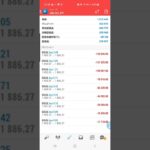 Fx自動売買、最大含み損109万円の瞬間 絶望