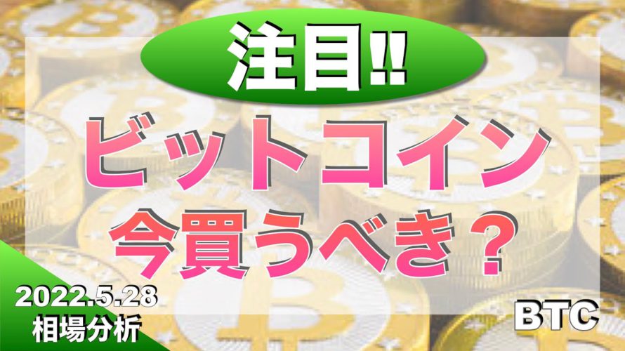 【BTC 】ビットコイン今買うべき?(2022年5月28日 相場分析)