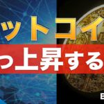 【BTC、ETH】ビットコイン反転するか？下落はいつまで続く（2022年5月21日 相場分析）前半