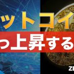 【ZEC、LUNA】ビットコイン反転するか？下落はいつまで続く（2022年5月21日 相場分析）後半