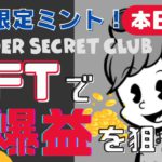 【初期限定ミント 7/7まで‼︎】海外で話題のNFTプロジェクト【WONDER SECRET CLUB】で爆益を狙おう！