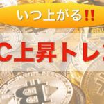 【BTC】上昇トレンド気になる今後（2022年8月13日 相場分析）