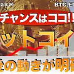 【BTC,ETH,BNB】ビットコイン今後の動きが明確に（2022年8月20日 相場分析）