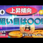 BTC,ETH,SOL,BNB】狙い目は〇〇（2022年8月6日 相場分析）