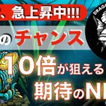 【今だけのチャンス！】注目度、急上昇中！ DRAGON FISH TOKYO(ドラゴンフィッシュ東京)10倍狙える期待のNFT！？