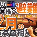 『新しい〇〇〇株』へ避難を開始！！12月の株と為替相場は、〇〇日から激動する！？