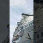 MONEY SAVING Cruise Hack: When is the best time to book a #cruise? #shorts