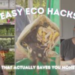 easy sustainable life hacks that actually save you money